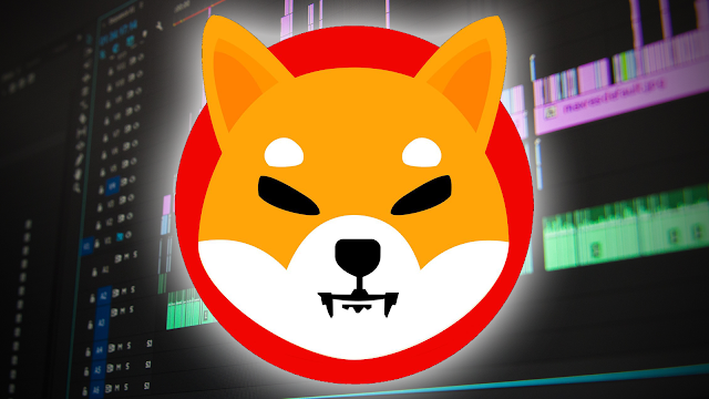  عملة شيبا اينو الرقمية SHIBA INU مميزاتها وعيوبها والتوقعات بشأن مستقبلها